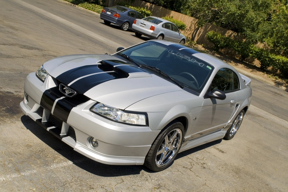 New11.webp