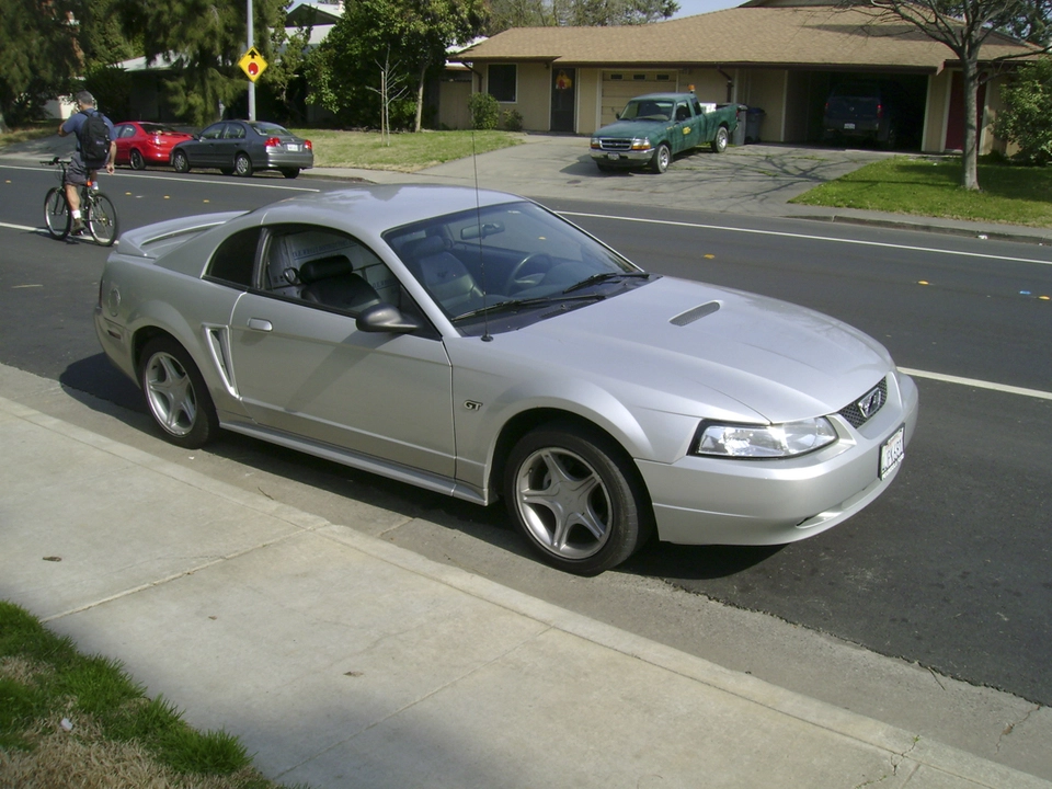 New12.webp