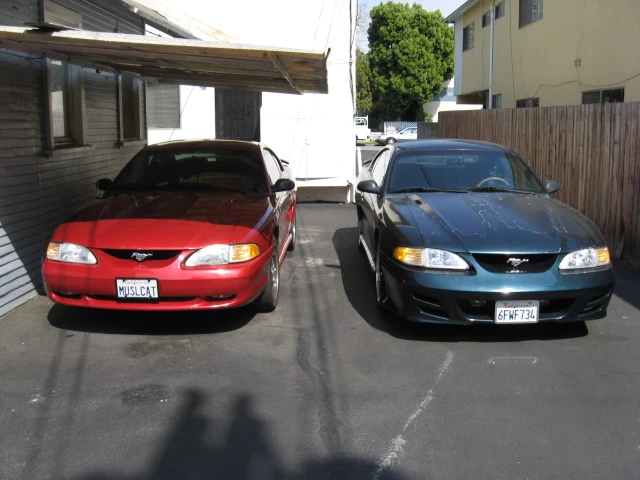 new_n_old_stangs_1.webp