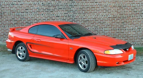 new_stang3.webp