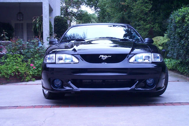 newbumper1.webp