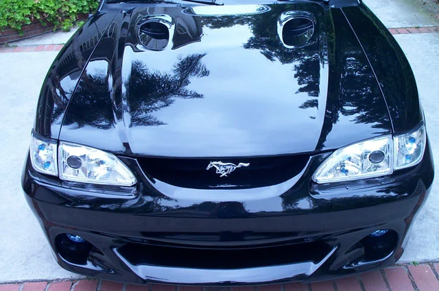 newbumper4.webp