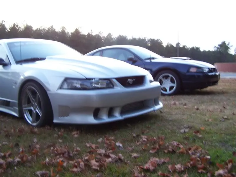 newcar006.webp
