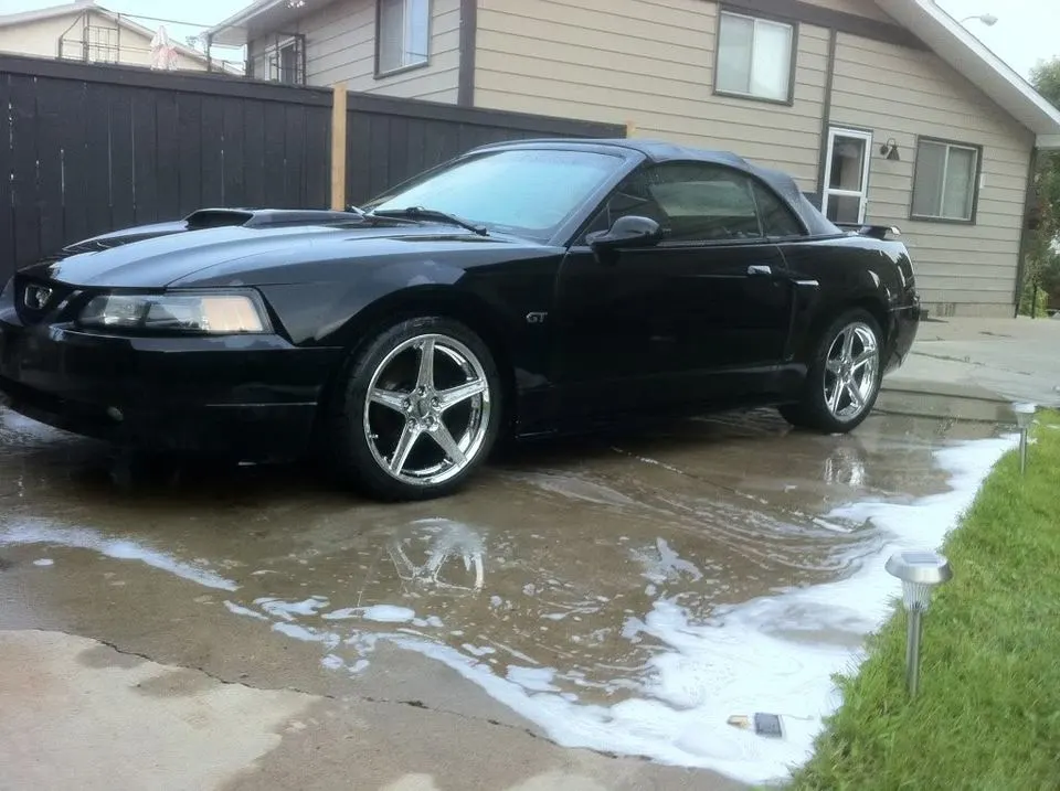 newcar024-1.webp