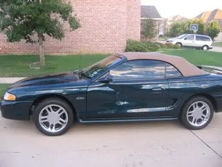 newcar6.webp