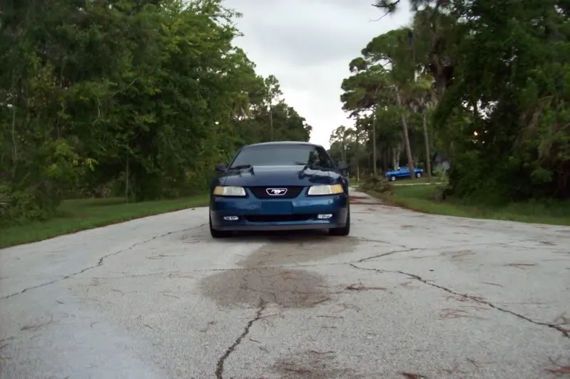 newcarpics003.webp