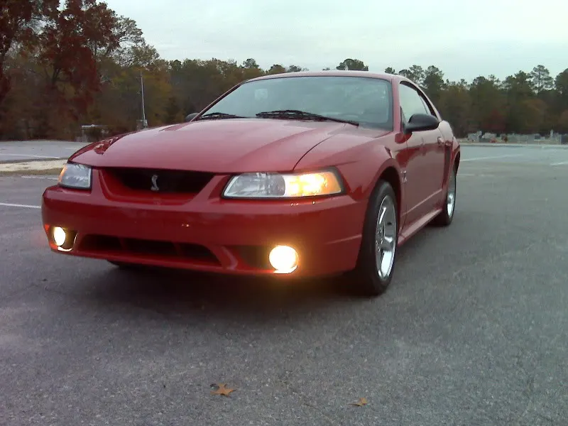 newcobra2.webp