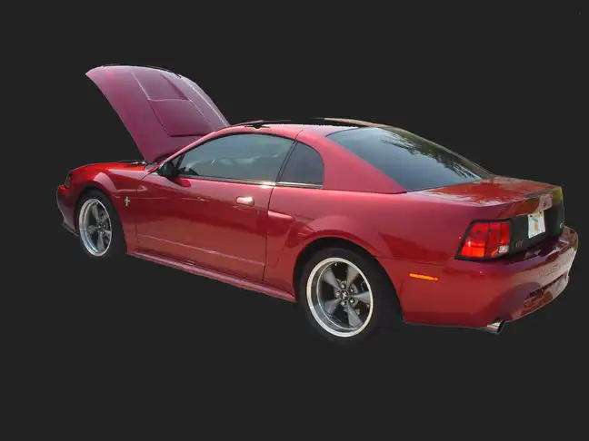 newedgemustang.webp