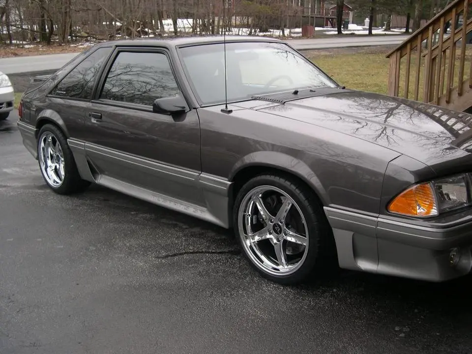 newestwheels2-24-13031.webp
