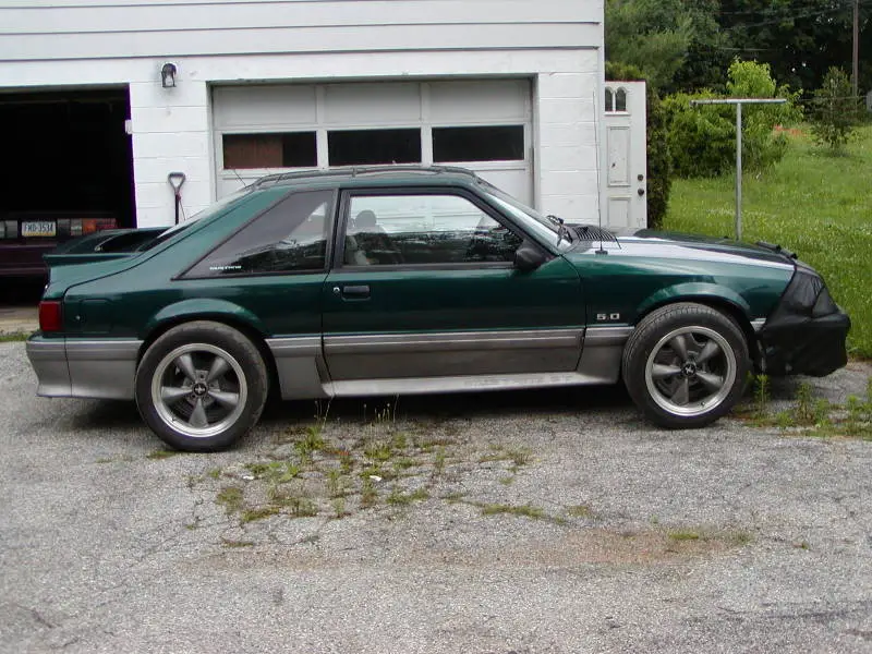 newlook.webp