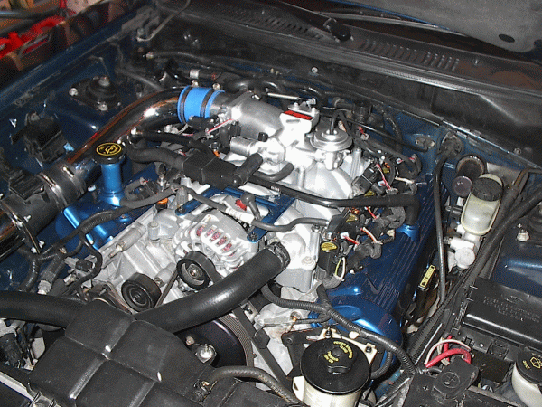 newmotor1.gif