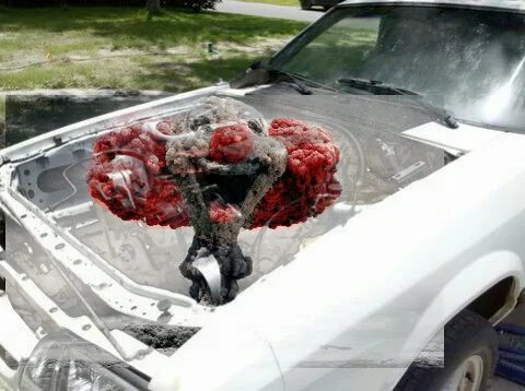 newmotor_1.webp