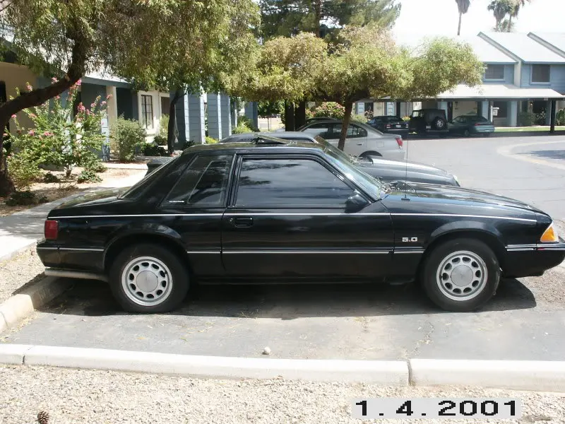 newmustang.webp