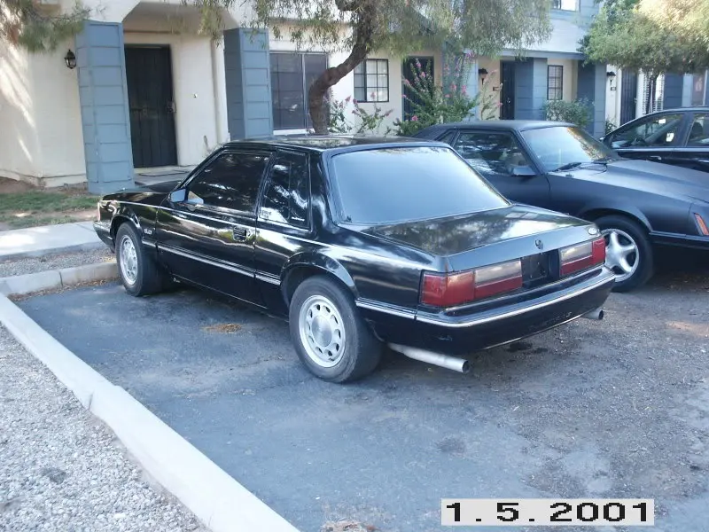 newmustang001-1.webp