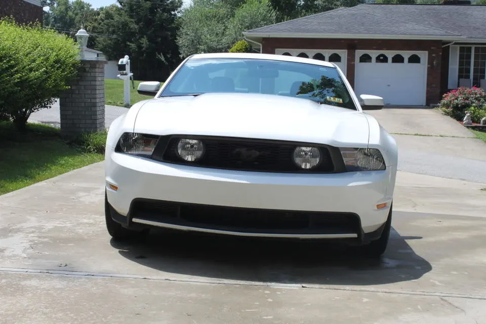 NewMustang001.webp