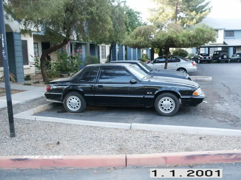 newmustang004.webp