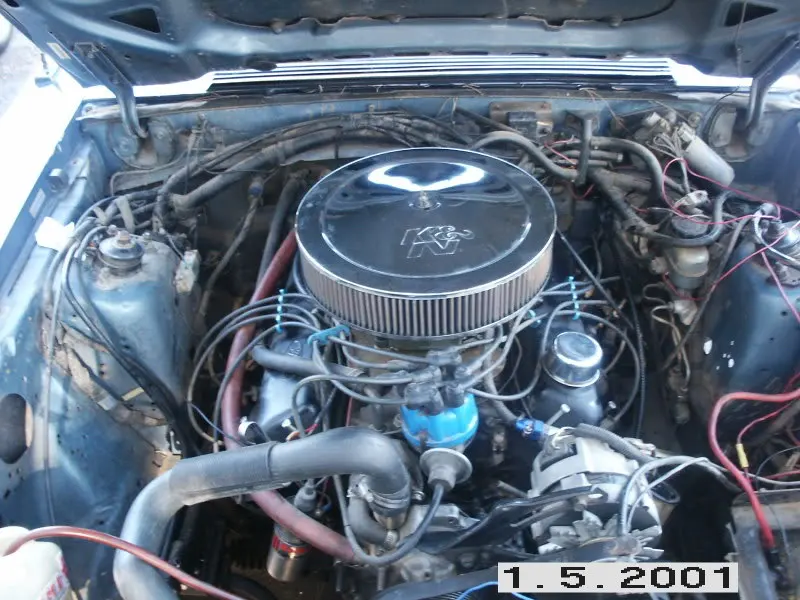 newmustang005-1.webp