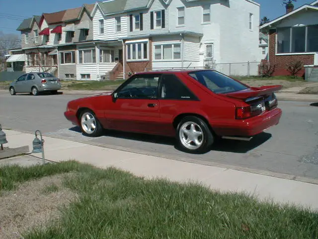 NewMustang006.webp