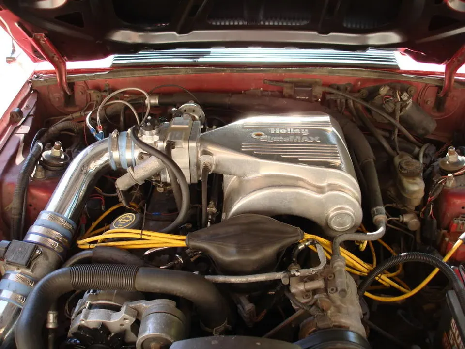 newmustangpics003.webp