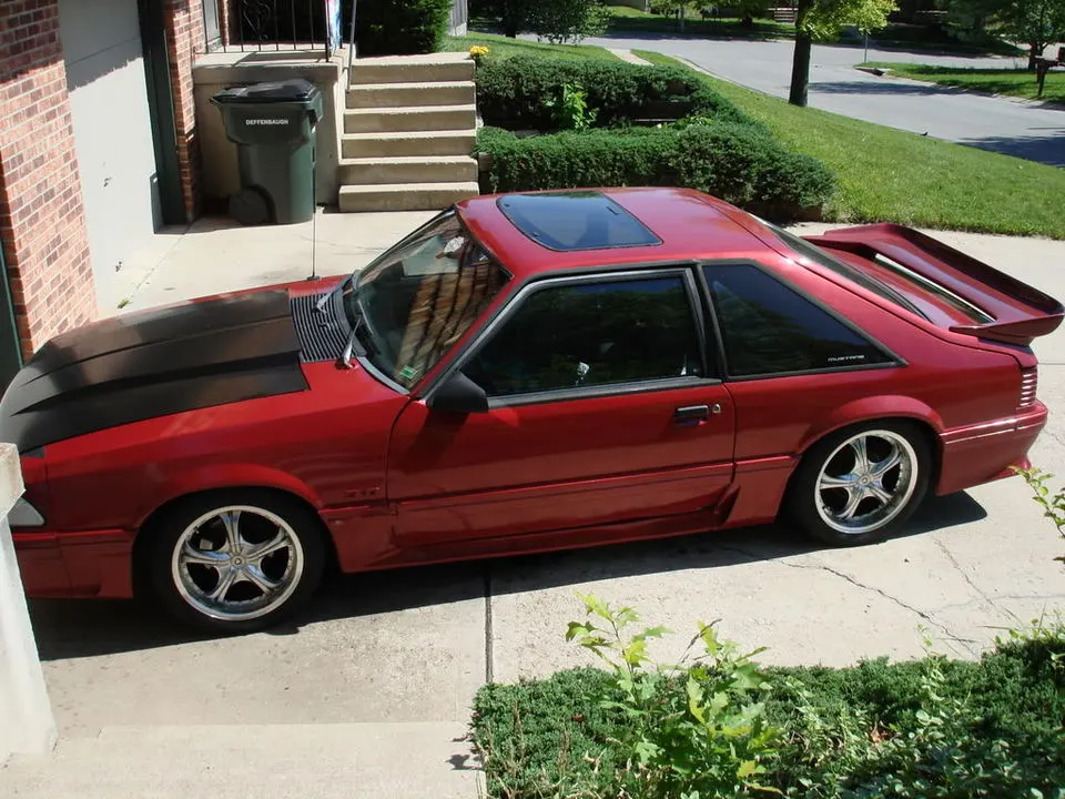 newmustangpics004.webp
