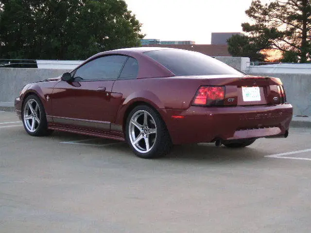 newmustangpics010.webp