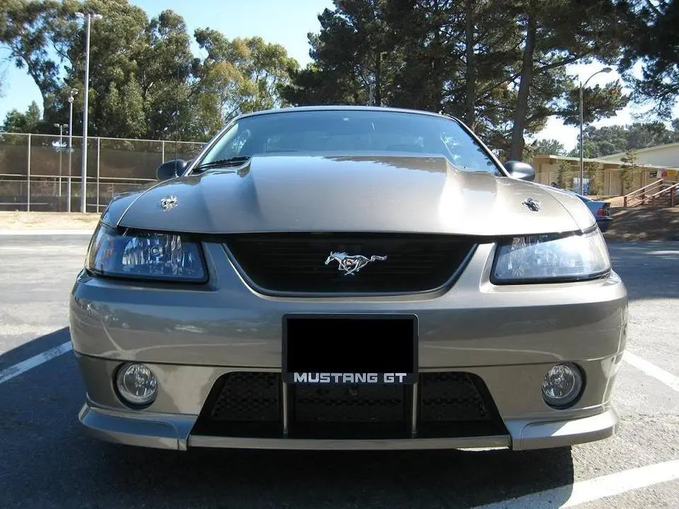 newphotofront.webp