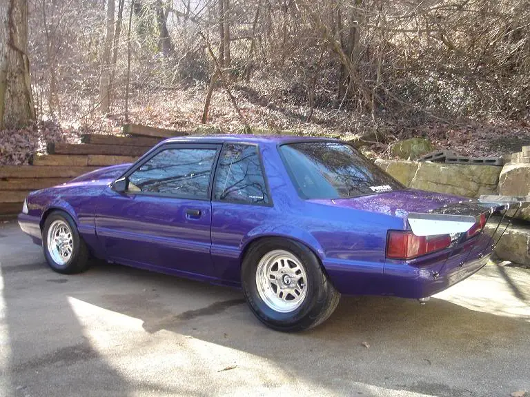 Newpicofmycarbackside.webp