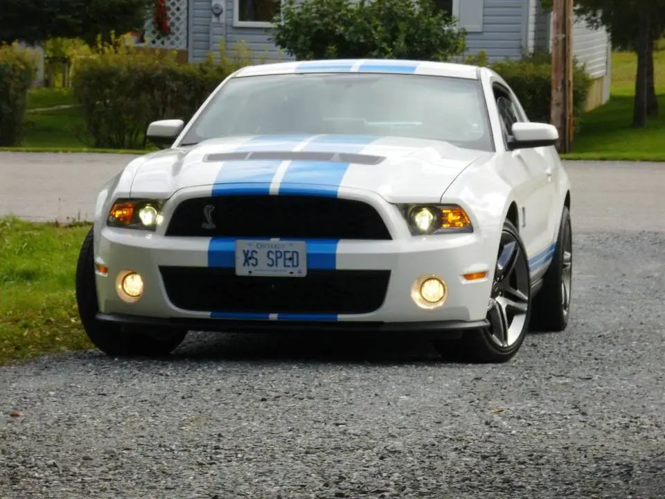 NewpicsSeptember29th006.webp