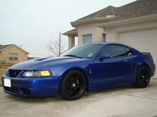 NewRims002.webp