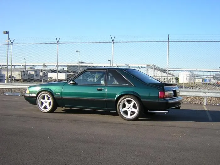 NewStang.webp