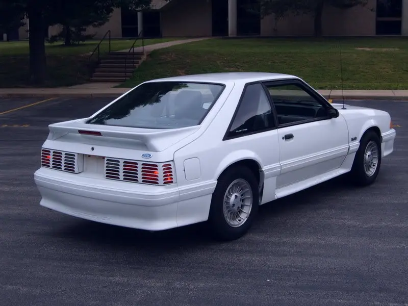 Newstang001-1.webp