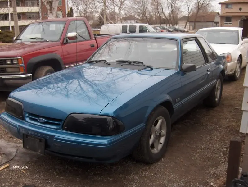 newstang001.webp