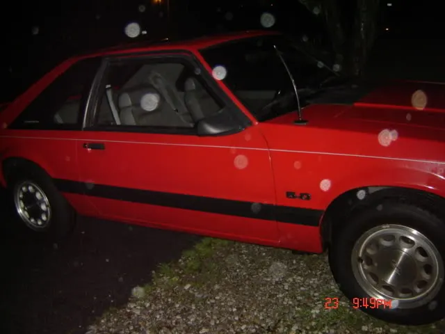 newstang002.webp