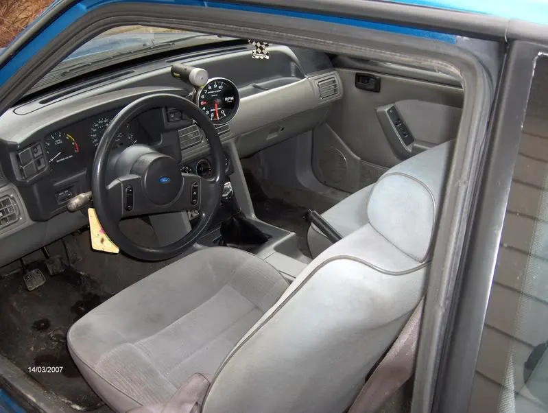 newstang003.webp