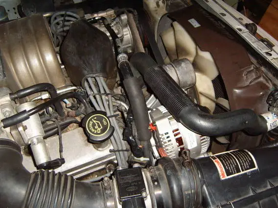 Newstang003.webp