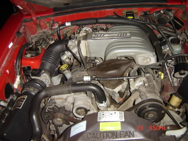 newstang004.webp