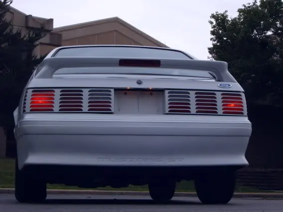 Newstang004.webp