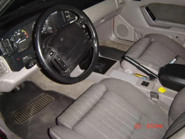 newstang006.webp