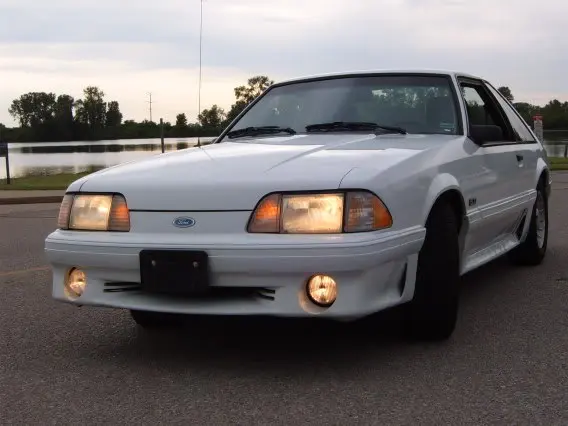 Newstang015.webp