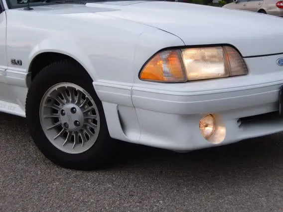 Newstang018.webp