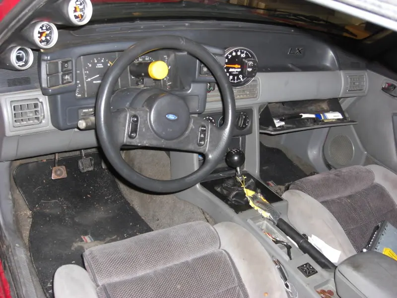 NewStang023.webp