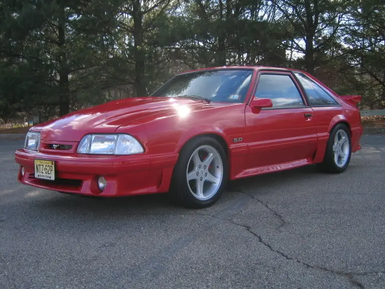 NewStang023.webp