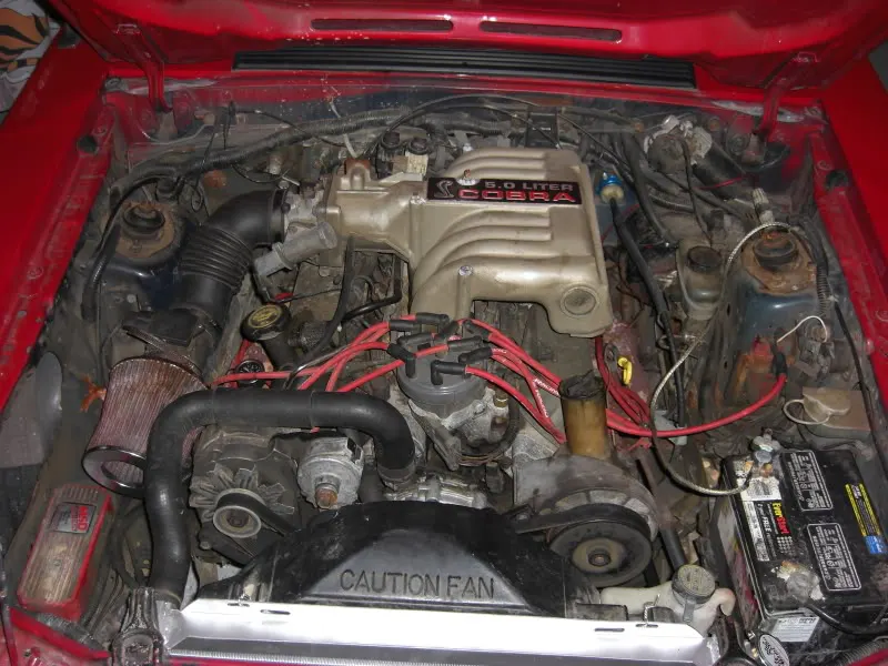 NewStang036.webp