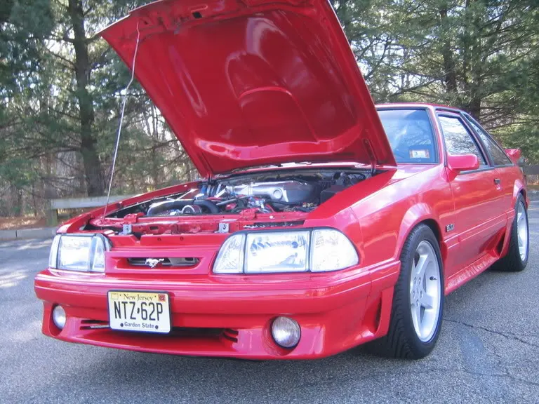 NewStang050.webp