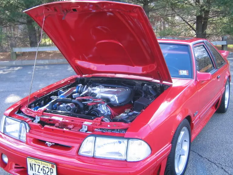 NewStang052.webp