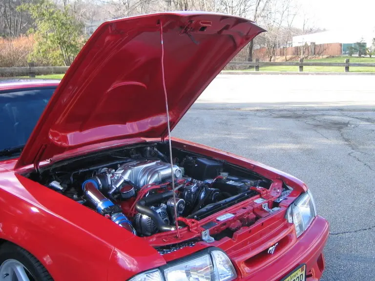 NewStang053.webp