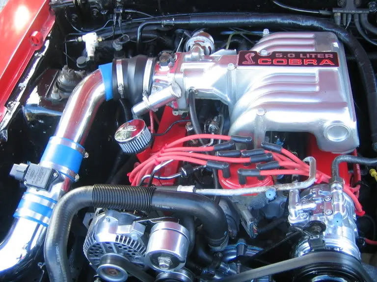 NewStang055.webp
