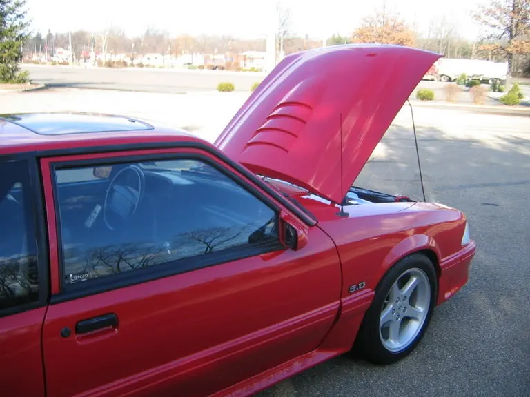 NewStang060.webp