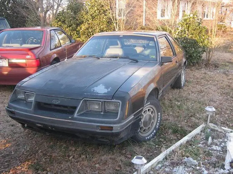 newstang2.webp