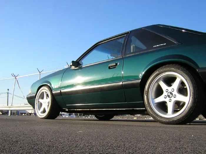 NewStang5.webp
